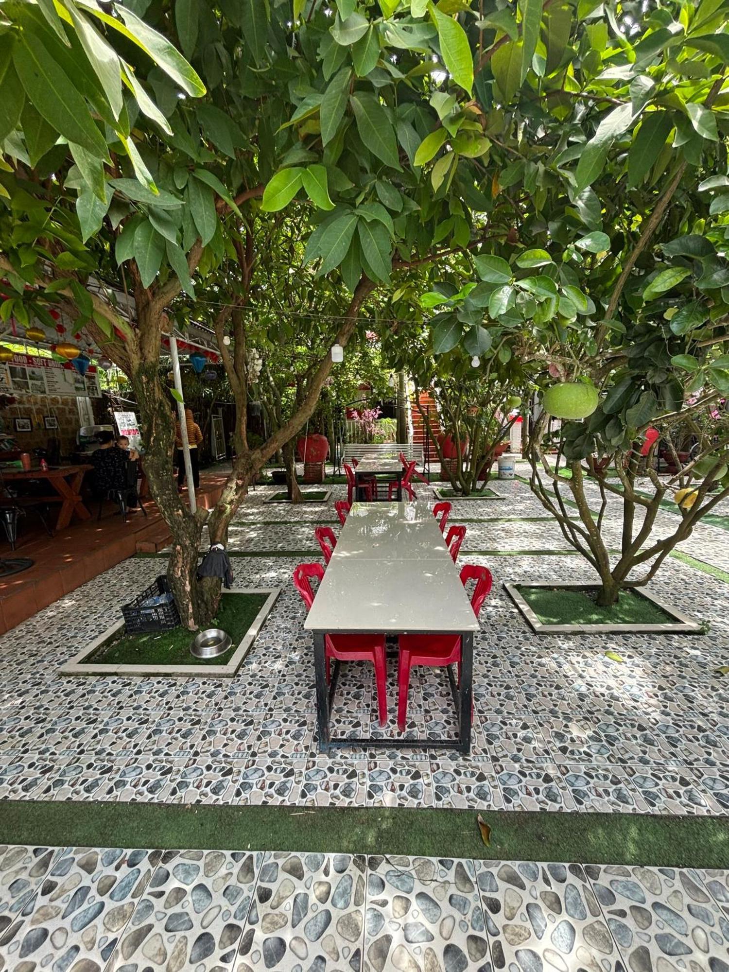 Red House Homestay - Villa 호이안 외부 사진